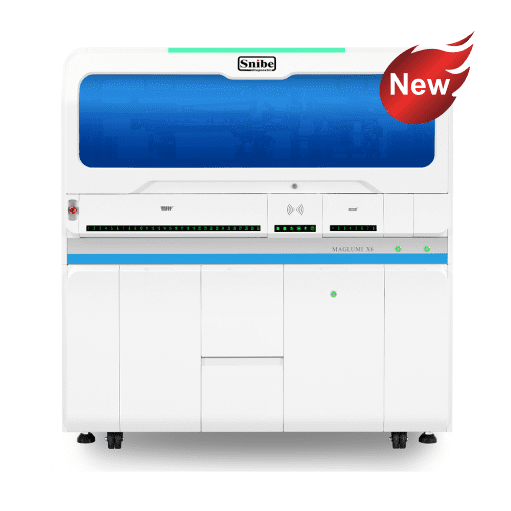 MAGLUMI X6